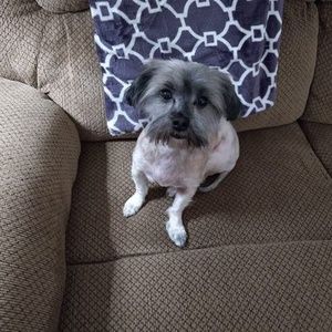 Meet your Posher, Dianne